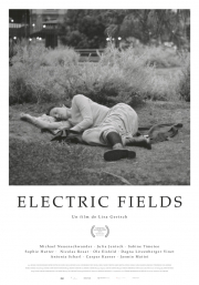 electric-fields-vost