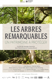 les-arbres-remarquables-cine-scapade