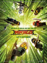 lego-ninjago-le-film-2d-ou-3d