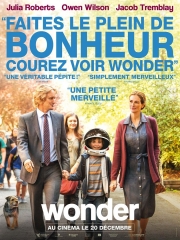 wonder