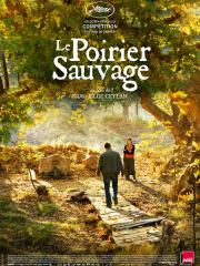 le-poirier-sauvage