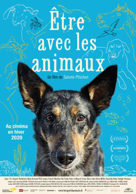 Être avec les animaux (VOst)