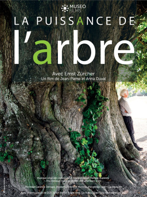 LA PUISSANCE DE L'ARBRE (reprise)