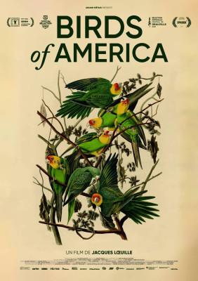 BIRDS OF AMERICA (VOst) (Coup de cœur !)