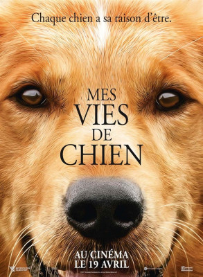 Mes vies de chiens