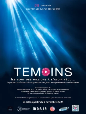 Affiche du film: Témoins