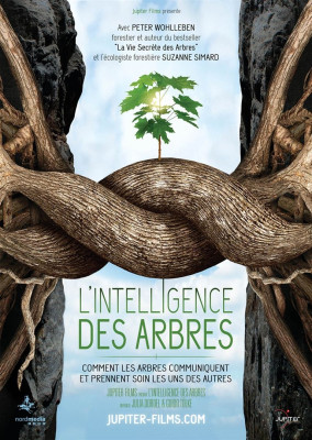 L’intelligence des arbres