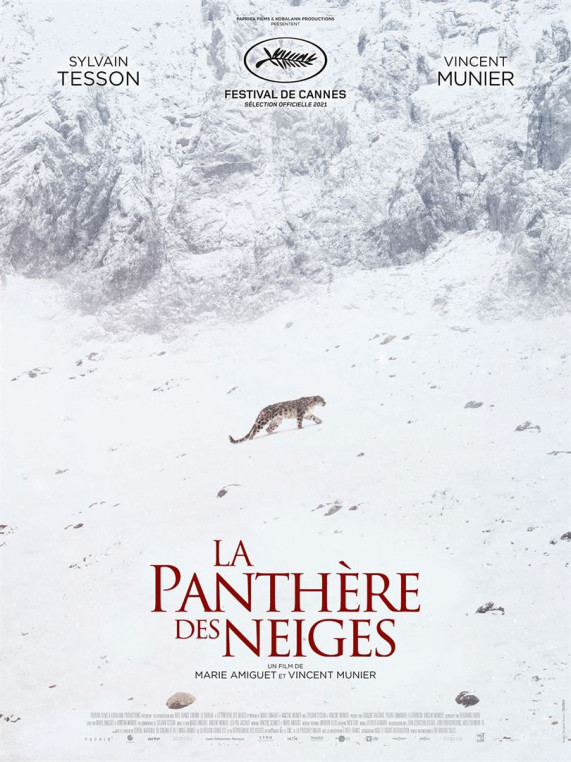 LA PANTHÈRE DES NEIGES (reprise)