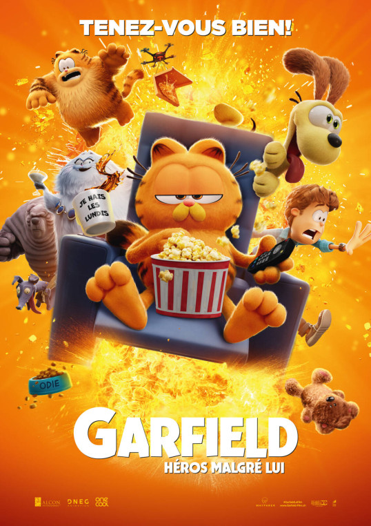 GARFIELD - HÉROS MALGRÈS LUI