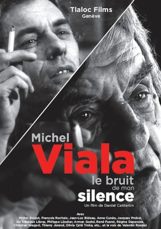 Michel Viala, le bruit de mon silence