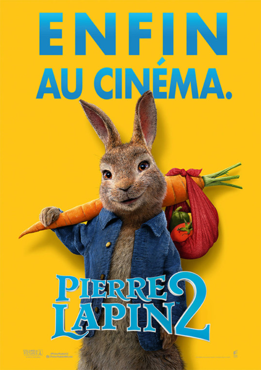 PIERRE LAPIN 2