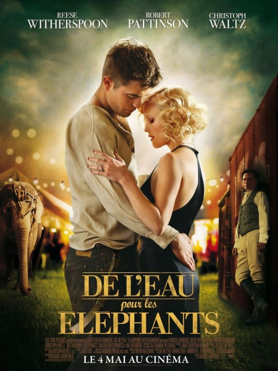 De l’eau pour les éléphants